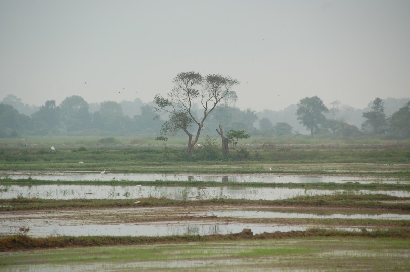 DSC_2197.JPG