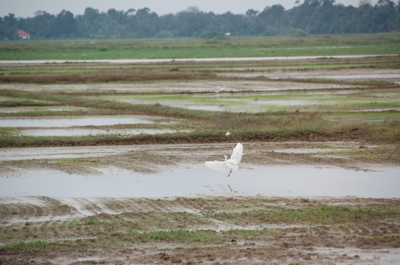 DSC_2298.JPG