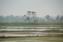 DSC_2197.JPG