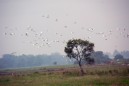 DSC_2237a.jpg