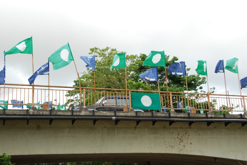 DSC_1175.JPG