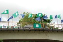 DSC_1175.JPG