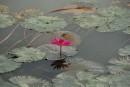 DSC_1240.JPG