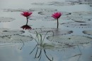 DSC_1251.JPG