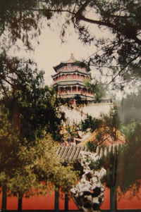 winter palace 04