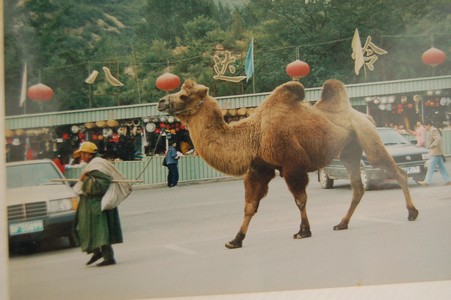 greatwall03