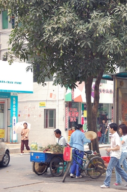 hk03