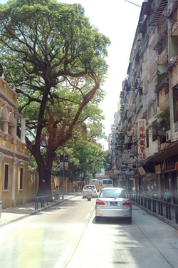 hk06