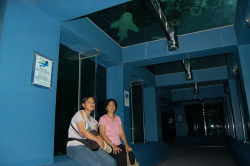 underwater