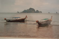 krabibeach02