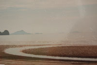 krabibeach03