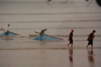 krabibeach04
