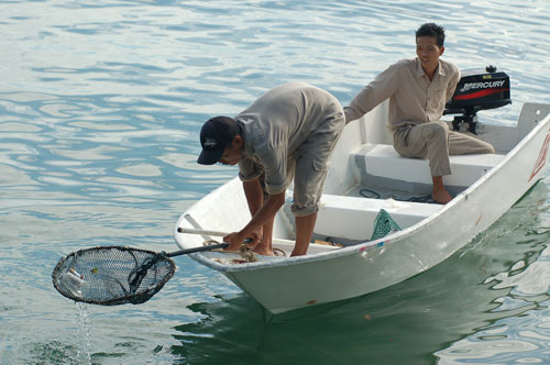 boat