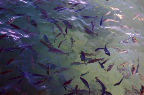 langkawiisland