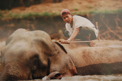 kayan06