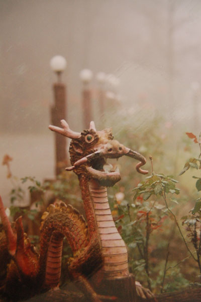 maesalong03
